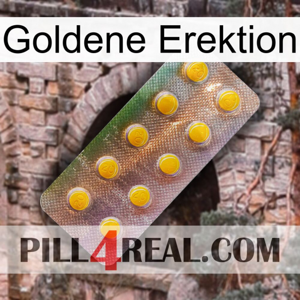 Golden Erection new11.jpg